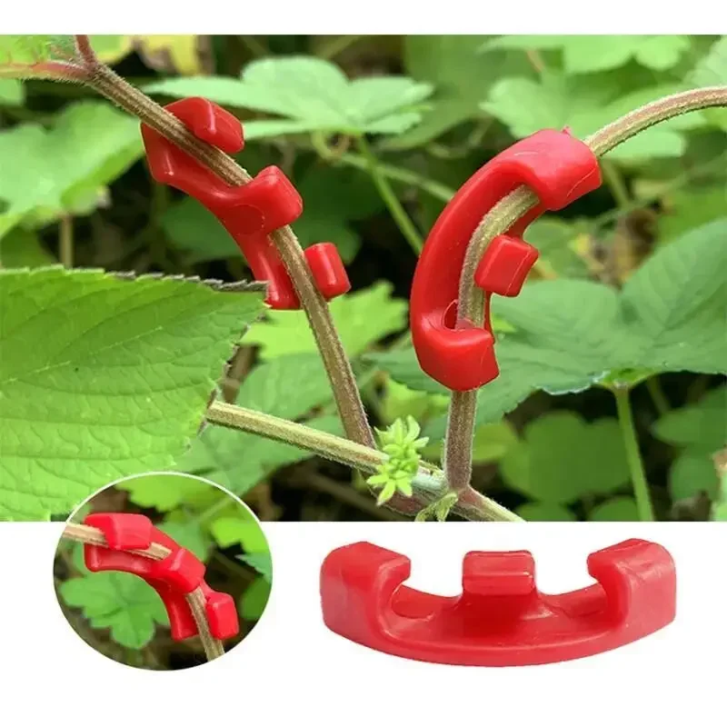 10-100 ชิ้น อุปกรณ์ดัดกิ่งไม้ส - Gardening Tools Lowes บทวิจารณ์และราคา
