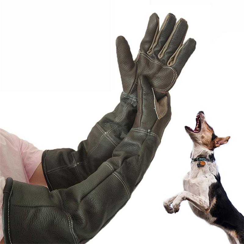 ถุงมือหนังวัวป้องกันการกัดป้อง - Gardening Tools Gloves บทวิจารณ์และราคา