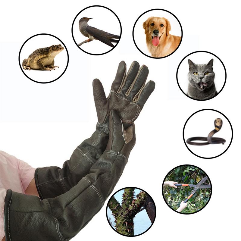 ถุงมือหนังวัวป้องกันการกัดป้อง - Gardening Tools Gloves บทวิจารณ์และราคา