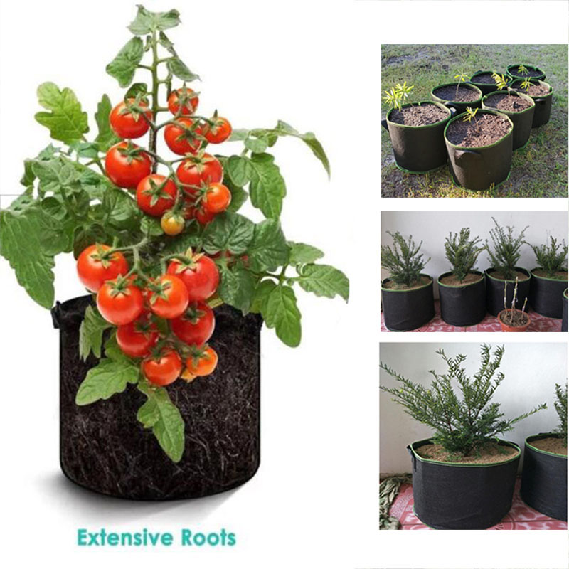 20Gal Grow Potผักดอกไม้กระเป๋า - Gardening Tools Big บทวิจารณ์และราคา