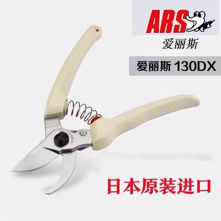 กรรไกรตัดแต่งกิ่ง เครื่องมือทํ - Gardening Tools Japan บทวิจารณ์และราคา
