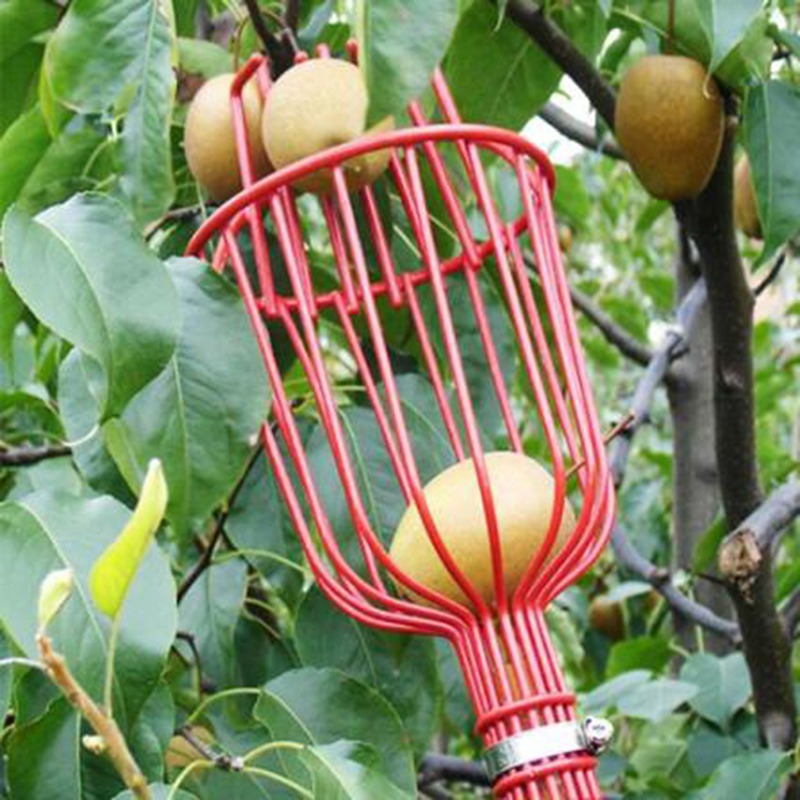 หัวเก็บผลไม้แบบตะกร้าลึก พกพาส - Gardening Tools Basket บทวิจารณ์และราคา