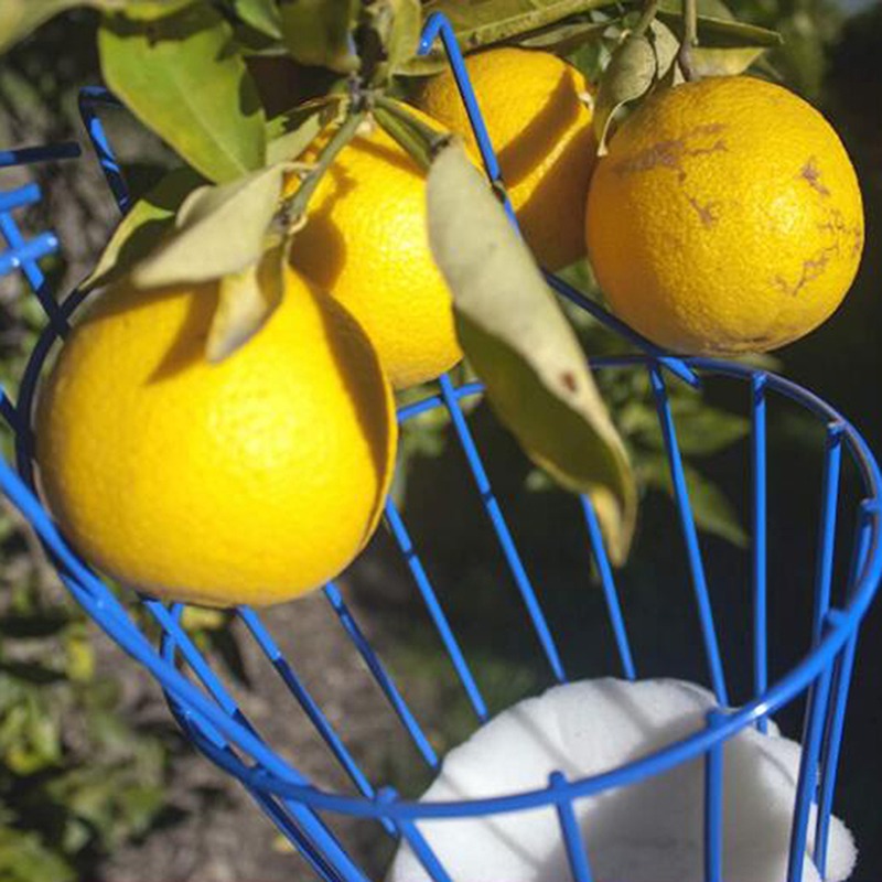 หัวเก็บผลไม้แบบตะกร้าลึก พกพาส - Gardening Tools Basket บทวิจารณ์และราคา