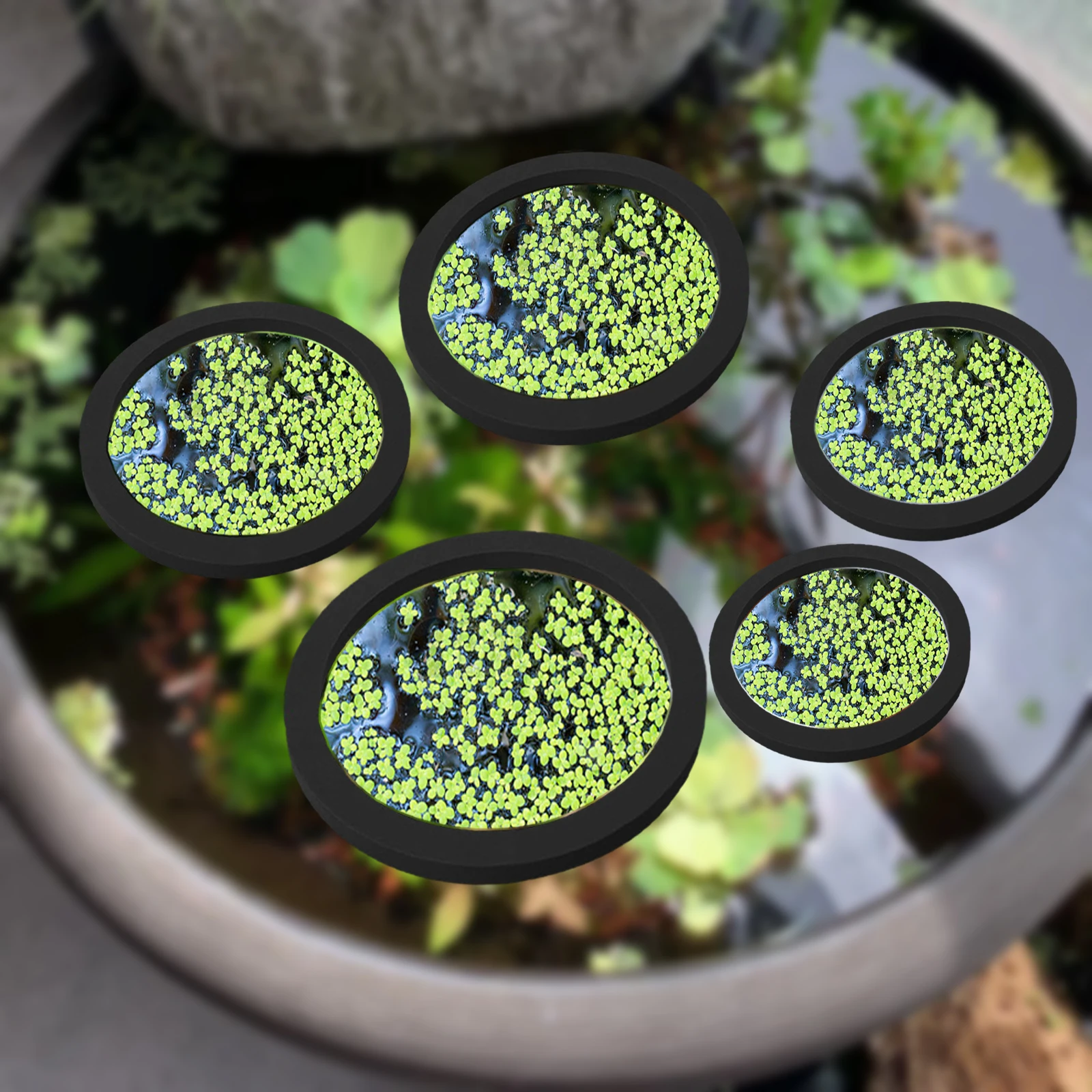 5 ชิ้น EVA ปลา Feeding แหวน Aq - Aquaponics Fish Tank บทวิจารณ์และราคา