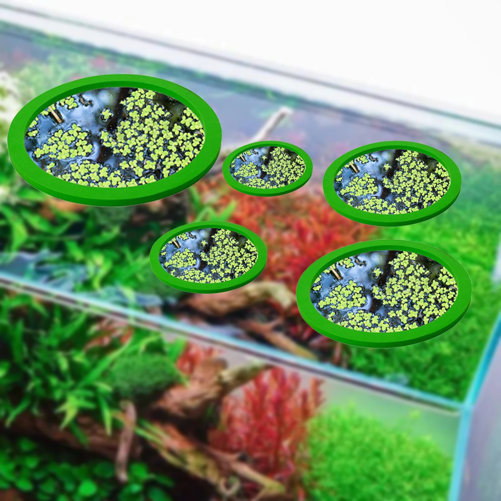 5 ชิ้น EVA ปลา Feeding แหวน Aq - Aquaponics Fish Tank บทวิจารณ์และราคา