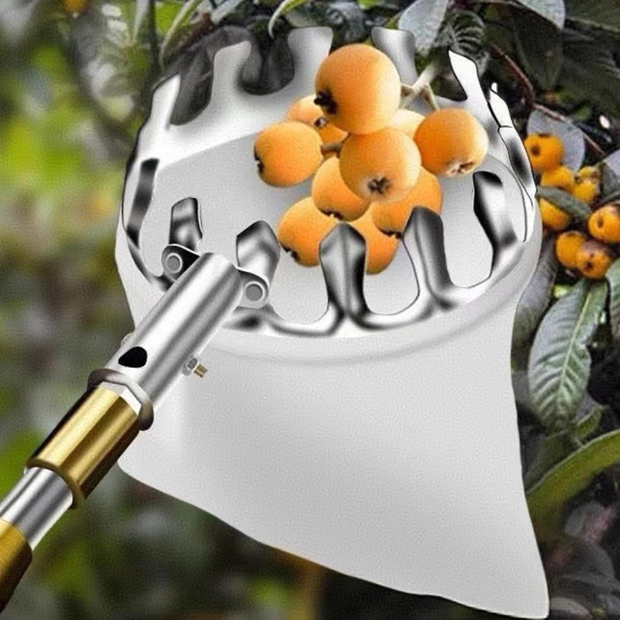 เครื่องมือเก็บผลเบอร์รี่แบบมือ - Gardening Tools Basket บทวิจารณ์และราคา