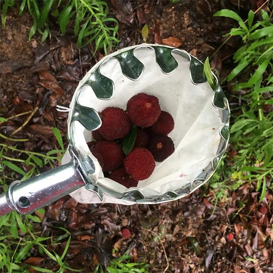เครื่องมือเก็บผลเบอร์รี่แบบมือ - Gardening Tools Basket บทวิจารณ์และราคา