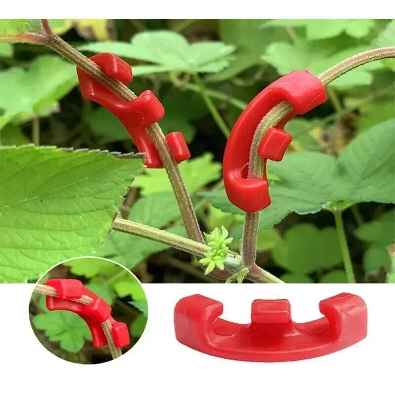 10-200 ชิ้น คลิปดัดกิ่งต้นไม้  - Gardening Tools Lowes บทวิจารณ์และราคา