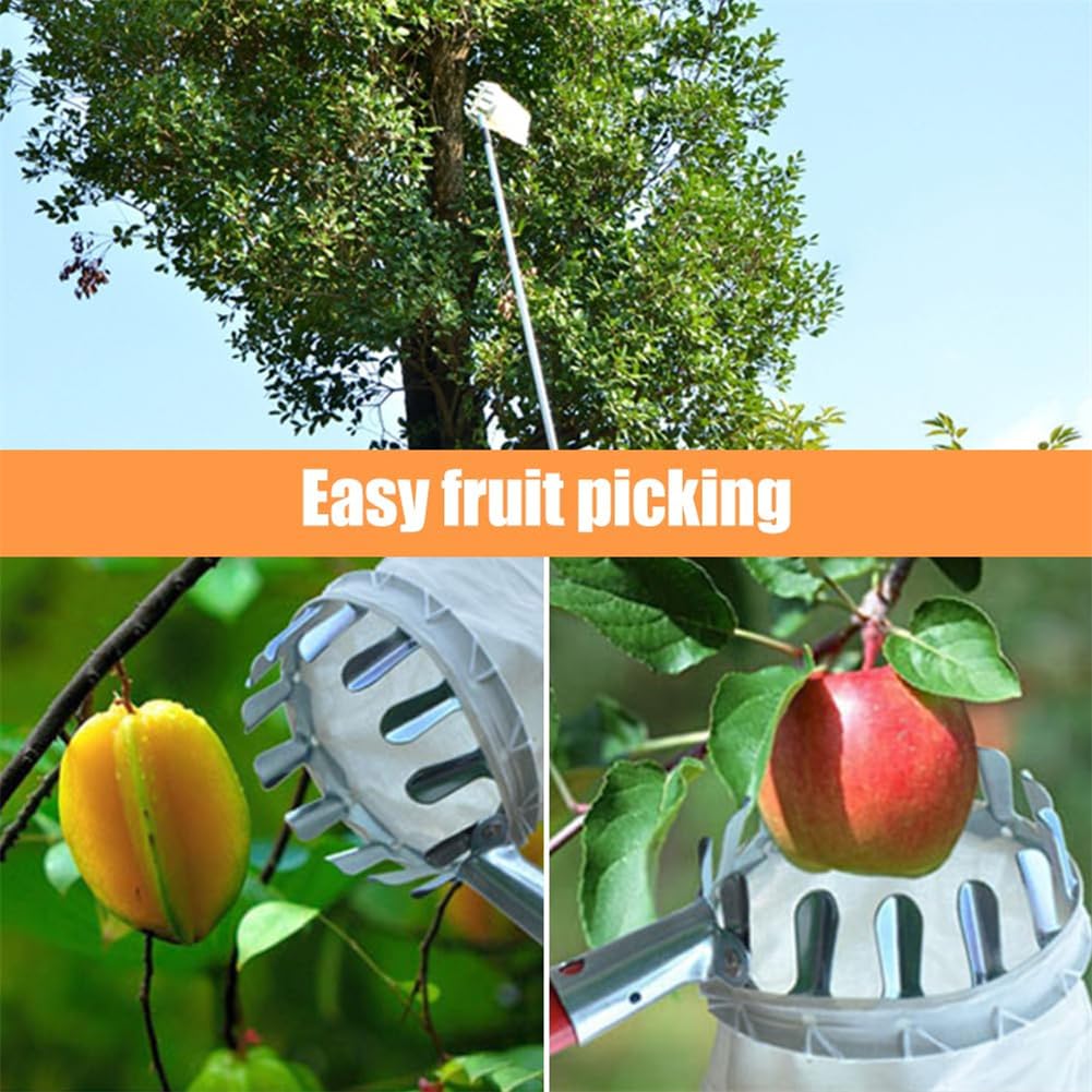 เครื่องมือเก็บผลไม้ 1 ชิ้น, เค - Gardening Tools Basket บทวิจารณ์และราคา